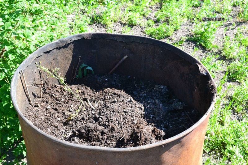 Как сделать парник в бочке своими руками