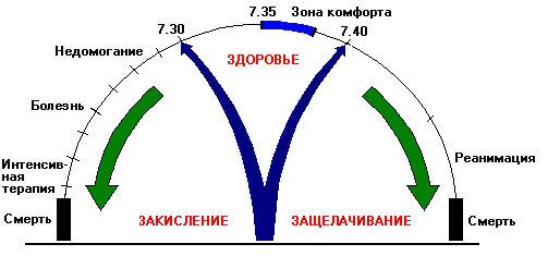 Наслаждение в свете кислотно-щелочной теории