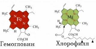 Этот напиток оздоравливает, тонизирует и заряжает энергией!