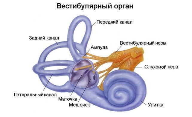 Эти СПЕЦИАЛЬНЫЕ упражнения помогут справиться с ГОЛОВОКРУЖЕНИЕМ