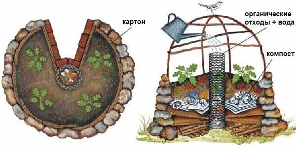 Как сделать высокие грядки: полезные идеи для отличного урожая