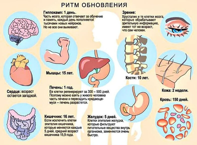 Сколько вам лет на самом деле