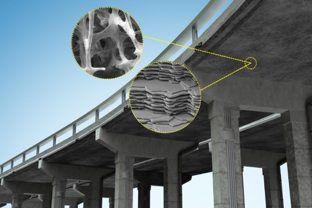 Природные объекты помогут создать более прочный бетон
