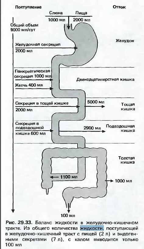 Можно ли запивать еду