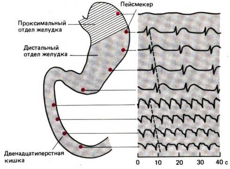 Можно ли запивать еду