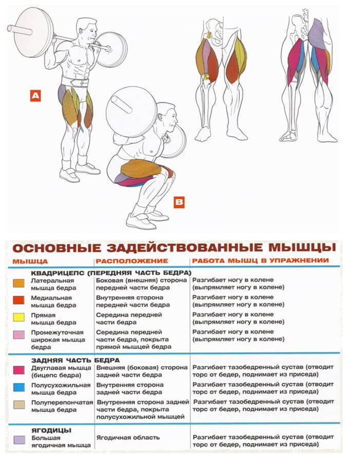 Многоповторные приседания: тренировочная программа