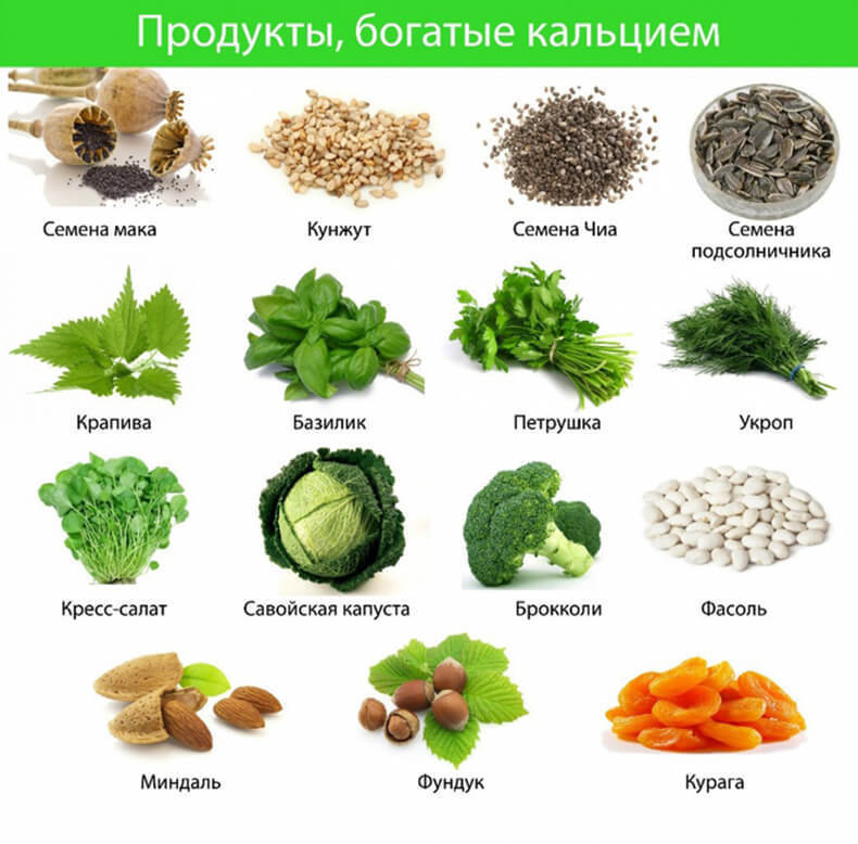 Продукты-чемпионы по содержанию кальция 