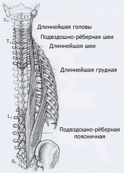 Триггеры: Карта точек боли и напряжения в теле 