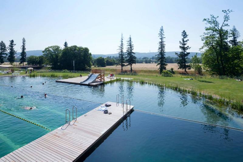 Naturbad Riehen: природный бассейн без хлора