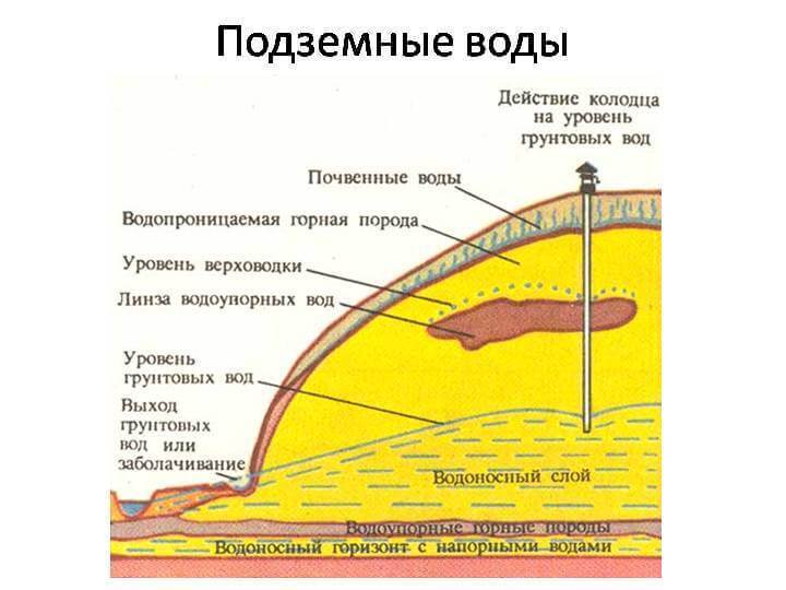 Как найти воду для скважины: разбираем три эффективных способа поиска