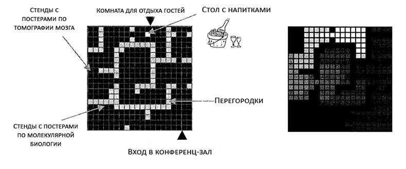 4 книги о том, как работает мозг