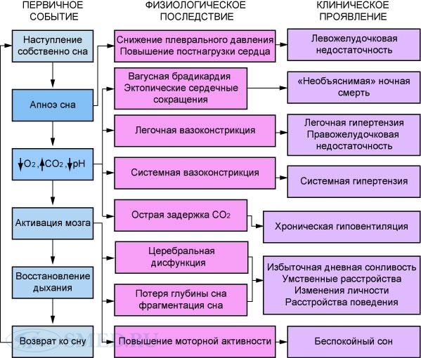 Как окружность шеи связана с показателями обмена веществ и риском развития заболеваний