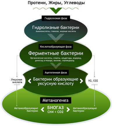 Биогазовая установка своими руками: интернет-мифы и сельская реальность 