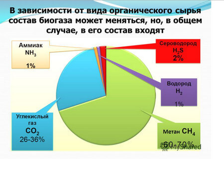 Биогазовая установка своими руками: интернет-мифы и сельская реальность 