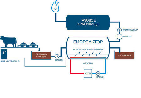 Биогазовая установка своими руками: интернет-мифы и сельская реальность 