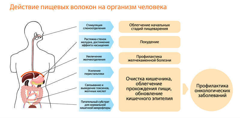 Как получить больше клетчатки из вашего рациона: 5 простых способов