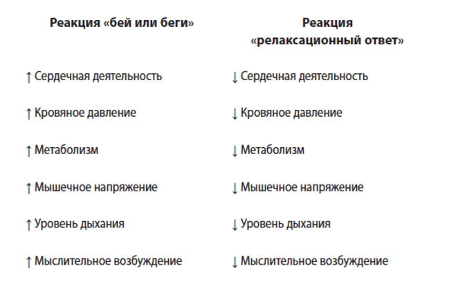 7 секретов молчания: как нейрофизиология помогает бороться со стрессом