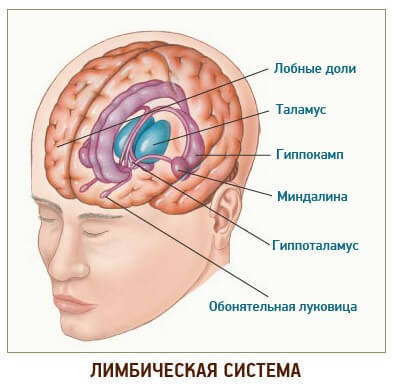 Впервые неинвазивными методами 25-летнего парня вывели из комы 