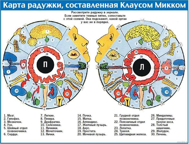 Что стоит за цветом ваших глаз