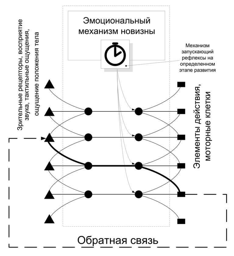 Структура и стартовые настройки мозга