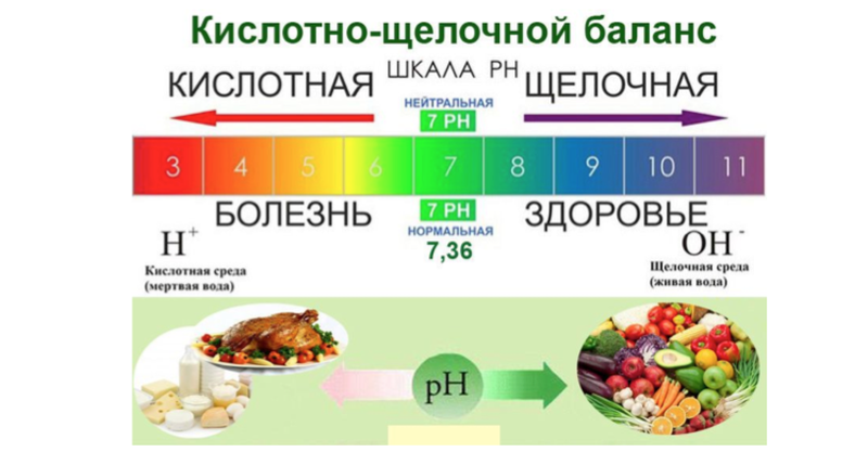 БИОТЕРАПИЯ и технологии выращивания ПРЕБИОТИЧЕСКИХ продуктов