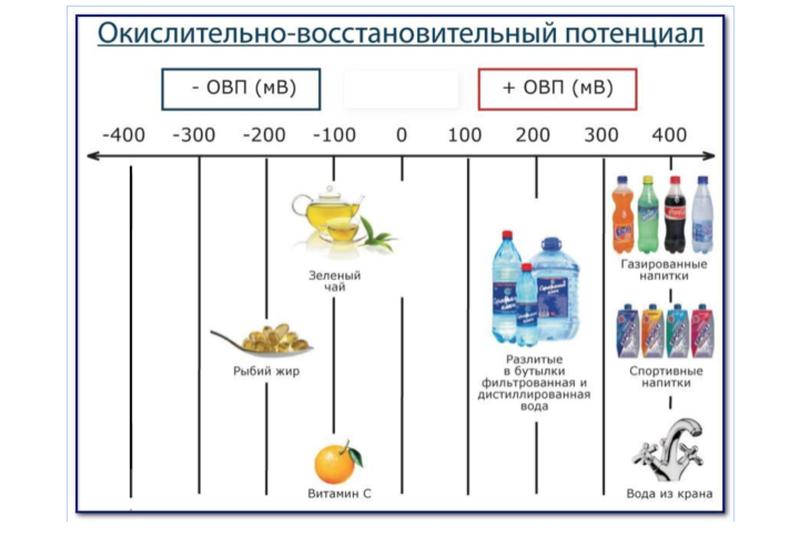 БИОТЕРАПИЯ и технологии выращивания ПРЕБИОТИЧЕСКИХ продуктов