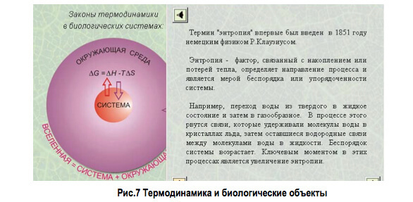 Влияние pH и окислительно-восстановительного потенциала на состояние живого организма