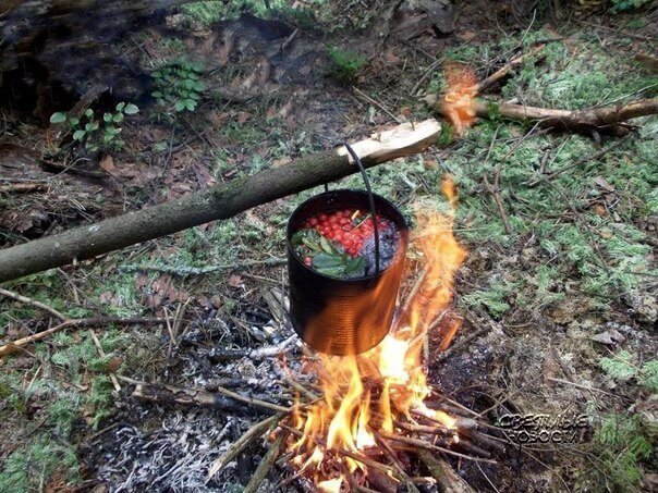 Как очистить воду рябиной 