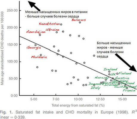 Холестерин: употребляем меньше, болеем — больше