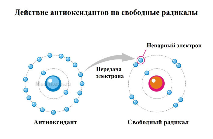 Что такое «СВОБОДНЫЕ РАДИКАЛЫ» и ЧЕМ они ОПАСНЫ