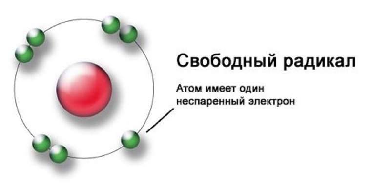 Что такое «СВОБОДНЫЕ РАДИКАЛЫ» и ЧЕМ они ОПАСНЫ