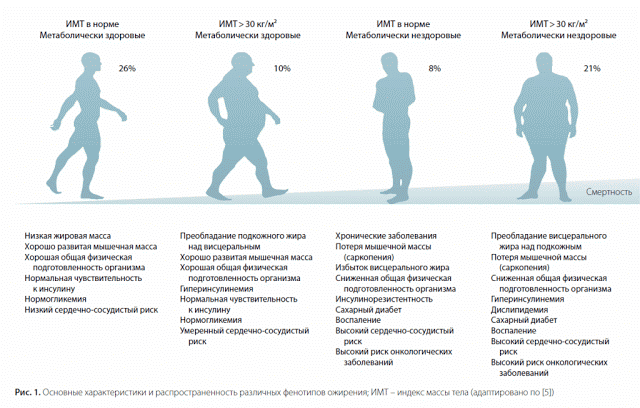 Как различить здоровый и нездоровый избыток массы тела
