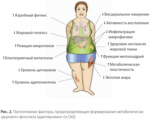 Как различить здоровый и нездоровый избыток массы тела