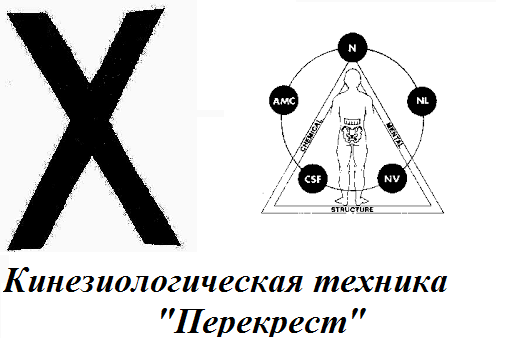 Кинезиологическая техника «Перекрёстный кроль» — доступ к потенциальным возможностям мозга и тела