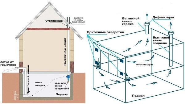 Как грамотно обустроить подвал в загородном доме