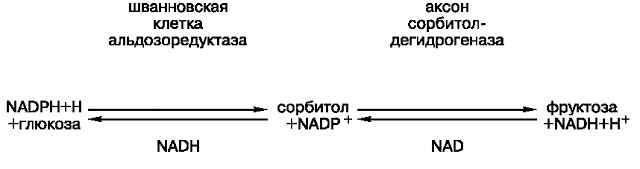 Фруктоза, которую вы не едите: что нужно знать, чтобы не навредить здоровью