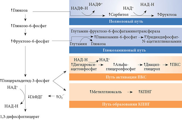 Фруктоза, которую вы не едите: что нужно знать, чтобы не навредить здоровью