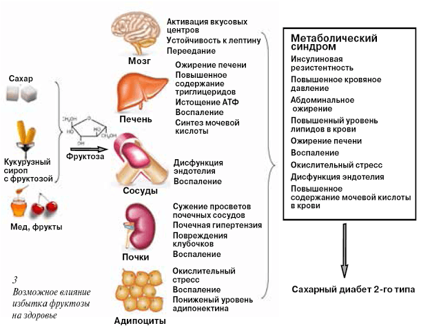 Фруктоза, которую вы не едите: что нужно знать, чтобы не навредить здоровью