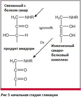 Гликирование и его продукты: Мусор внутри вашего тела