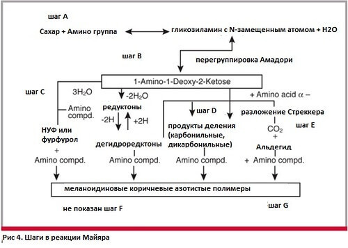 Гликирование и его продукты: Мусор внутри вашего тела