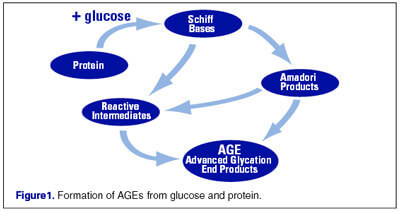 Гликирование и его продукты: Мусор внутри вашего тела