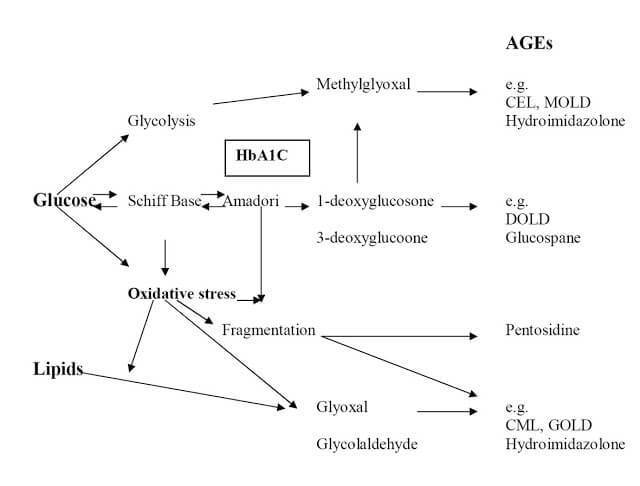 Гликирование и его продукты: Мусор внутри вашего тела