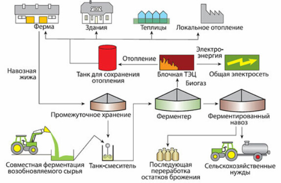 Как получить биогаз из навоза: технология и устройство установки по производству