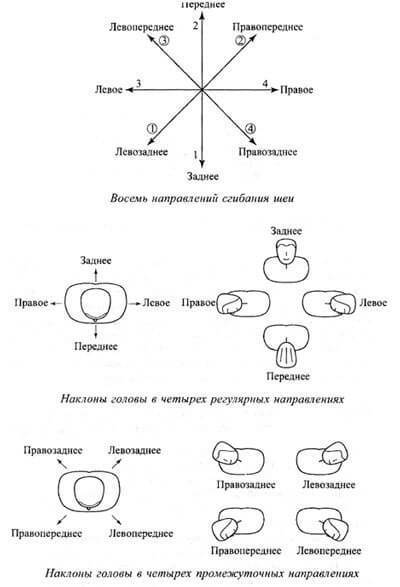 Спиральный твист шеи: упражнения для улучшению кровотока и иннервации