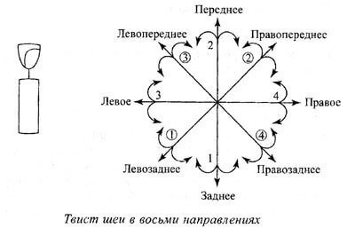 Спиральный твист шеи: упражнения для улучшению кровотока и иннервации