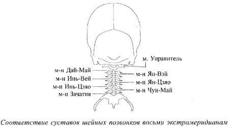 Спиральный твист шеи: упражнения для улучшению кровотока и иннервации