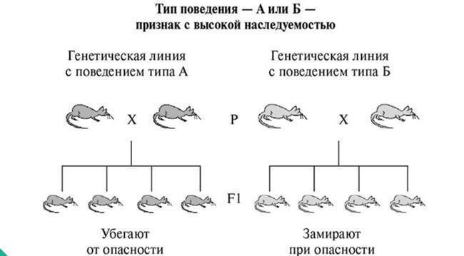 Главная причина ускоренного старения человеческого организма