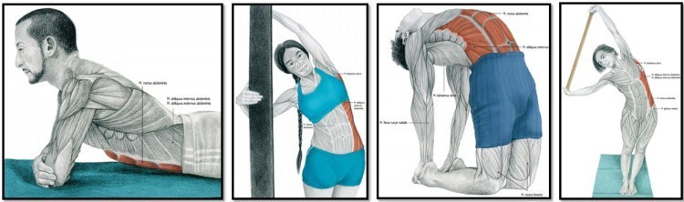 Как правильно растягивать мышцы