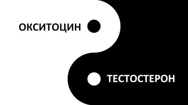 Влияние гормонов на поведение: Тестостерон способствует правдивости, а Окситоцин — лживости