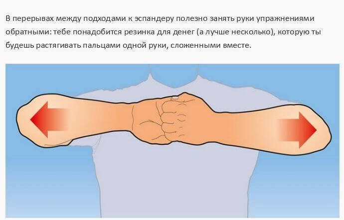 Простые упражнения, тренирующие все 27 мышц рук